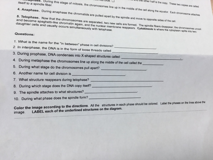 Solved lu te other half is the copy. These two copies are | Chegg.com