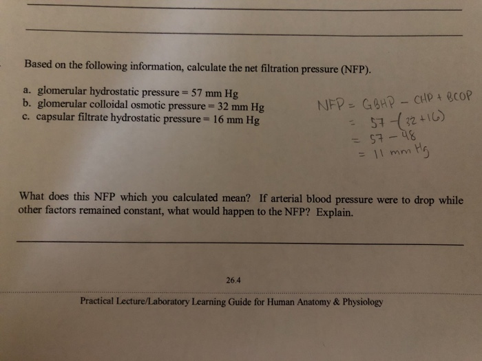 Utility payments armenia. Favorable labor rate variance. Informal letter asking for information. Use the following information. Fixed overhead variance.