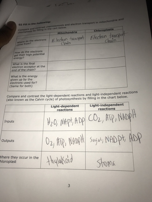 Solved And Compare And Contrast Chemiosmosis And Electron Chegg Com