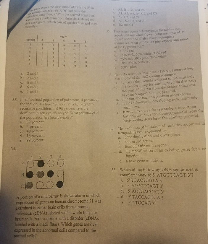 Leg dominance test image