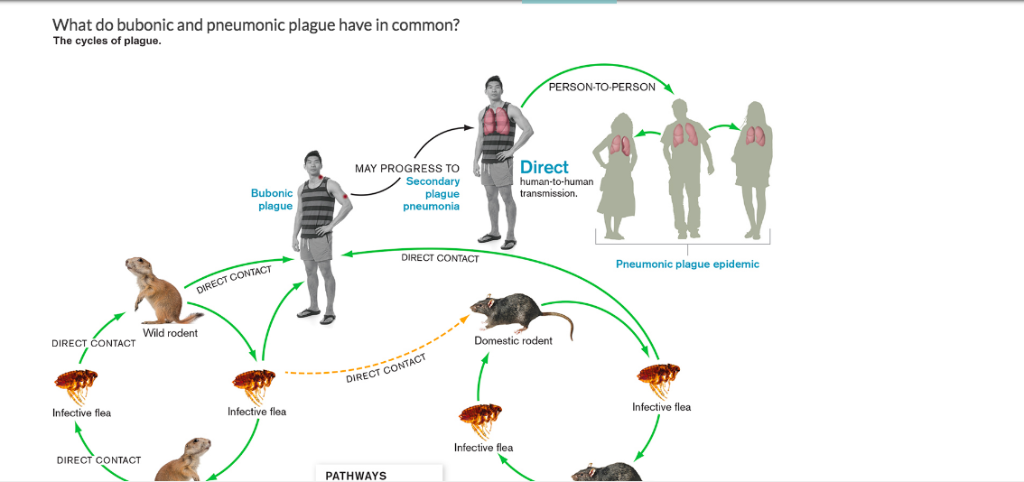 pneumonic plague pictures