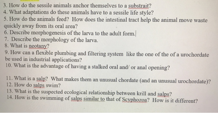 Solved 3. How do the sessile animals anchor themselves to a 