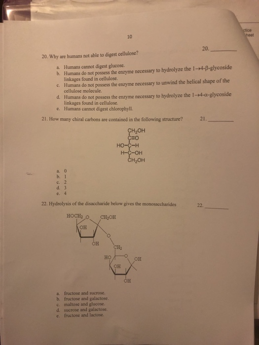 Solved 10 20. 20. Why Are Humans Not Able To Digest Cellu