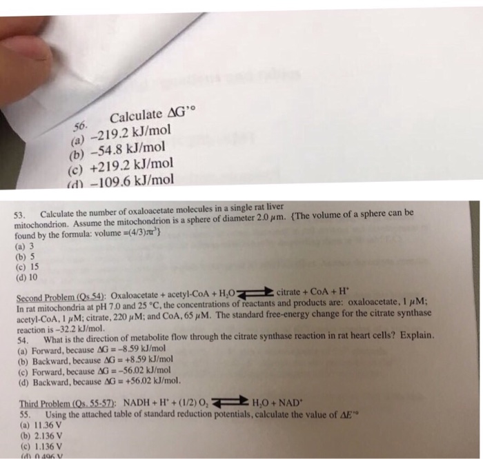 Calculate The Number Of Oxaloacetate Molecules In Chegg Com