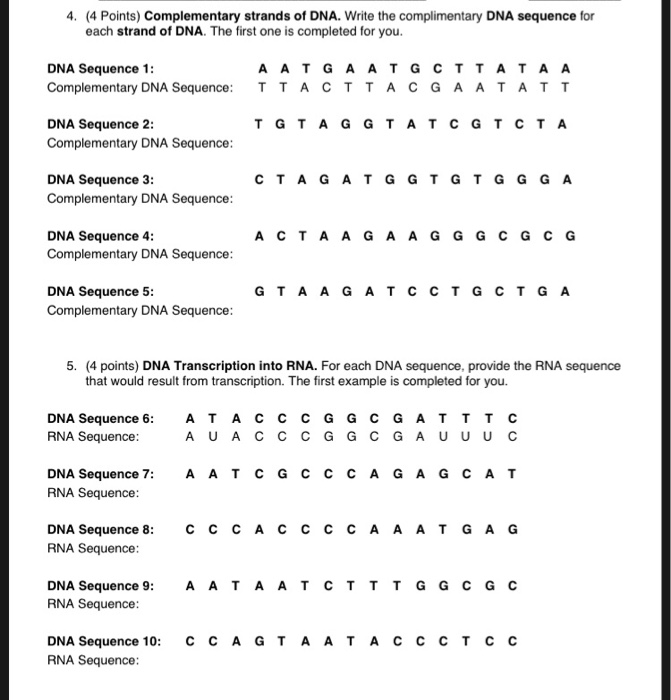 How to write the complementary dna sequence image
