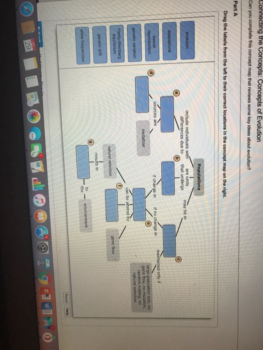 Can You Complete This Concept Map That Reviews Some Key Ideas About Macroevolution? Can You Complete This Concept Map That Reviews Some Key Ideas 