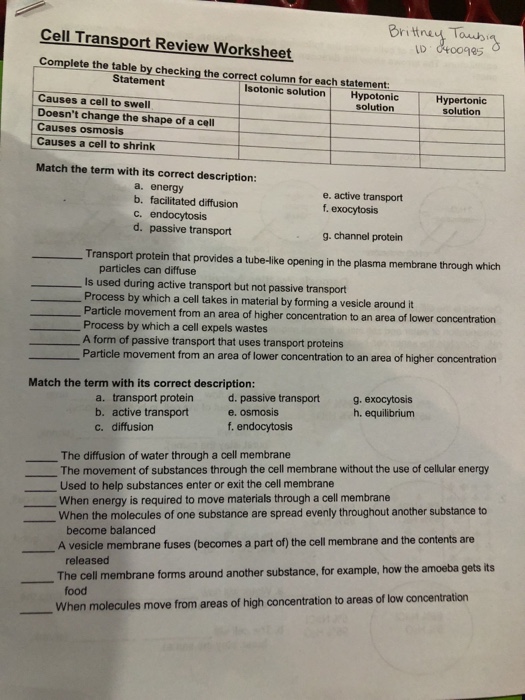 Solved Britney Tos 985 Cell Transport Review Worksheet Co Chegg Com