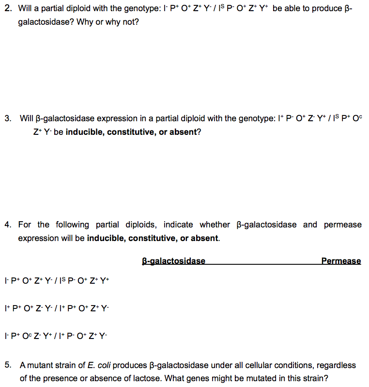 Solved Genetics Worksheet Week 2 Gene Regulation 1 For Chegg Com