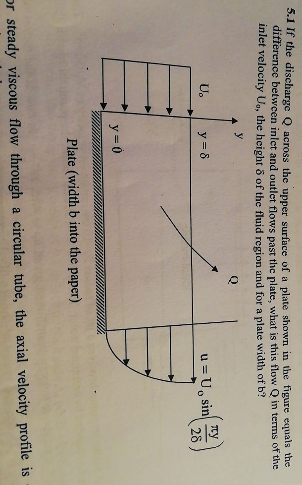 Solved Q. Based on the figure above (respiratory surface