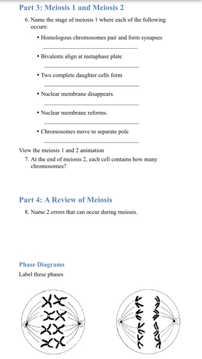 stages of meiosis 1 and 2