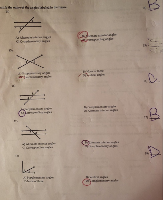 Solved Ntify The Name Of The Angles Labeled In The Figure