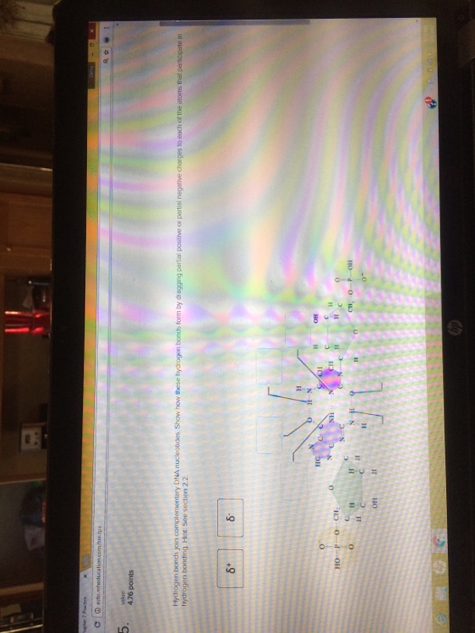 6 Hydrogen Bonds Join Complementary Dna Nucleotides Chegg Com