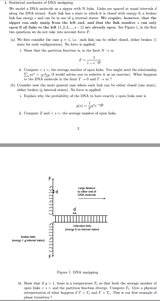 Solved 4 Statistical Mechanics Of Dna Unzipping We Model Chegg Com