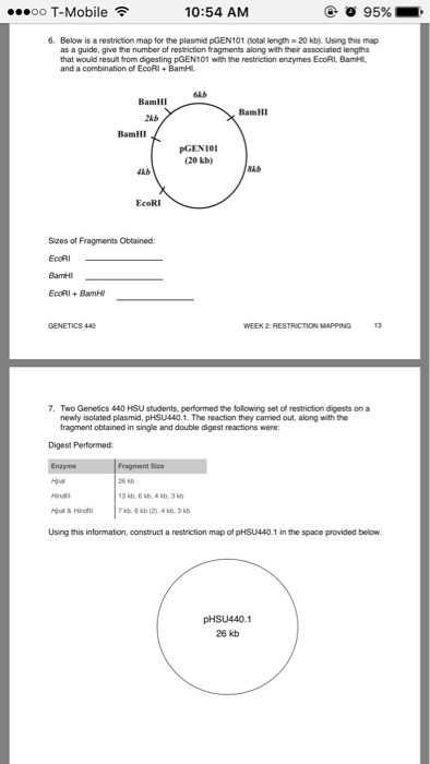 Below Is A Restriction Map For The Plasmid Pgen101 Answers 20+ Pages Summary [2.1mb] - Updated 2021 