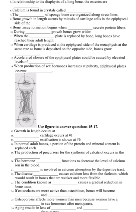 solved s in relationship to the diaphysis of a long bone