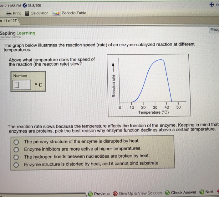 Solved The Graph Below Illustrates The Reaction Speed Of