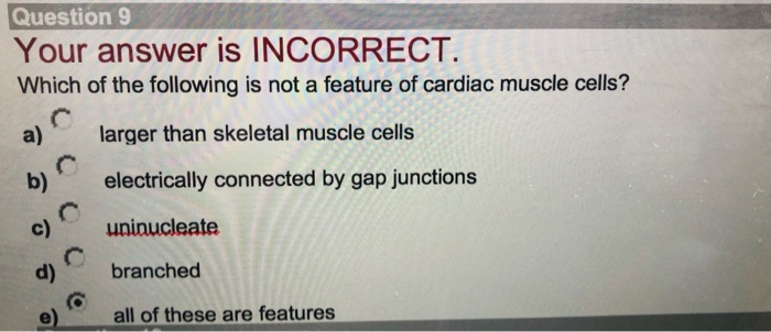 Solved Question 9 Your Answer Is Incorrect Which Of The | Chegg.com Solved Question 9 Your Answer Is Incorrect Which Of The | Chegg.com