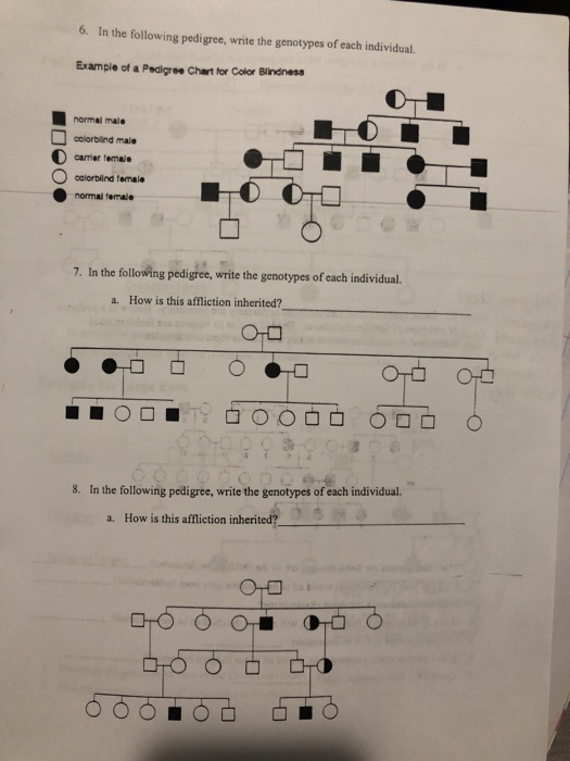 Solved The Following Chart Represents The Inheritance Of