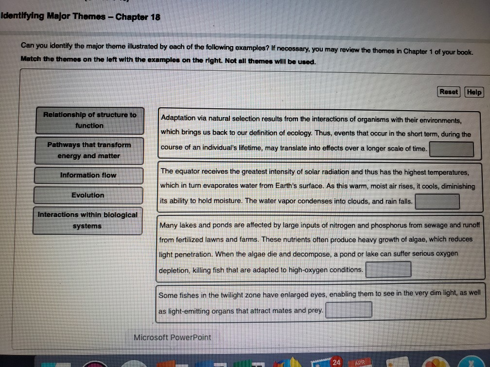 Solved Identifying Major Themes Chapter 18 Can You Ident Chegg Com