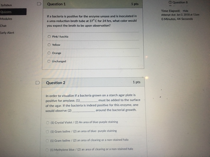 New P_SECAUTH_21 Study Plan