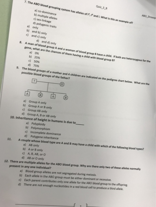 Solved Quiz 38 Abo Blood Grouping System Has Alleles Of I Chegg Com