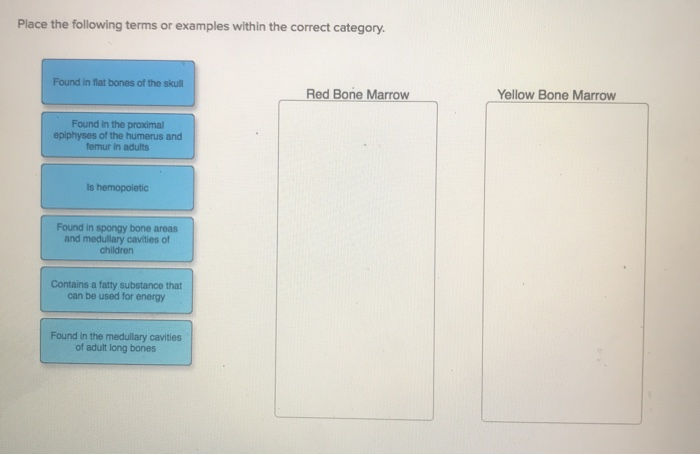 Solved Place the following terms or examples within the | Chegg.com