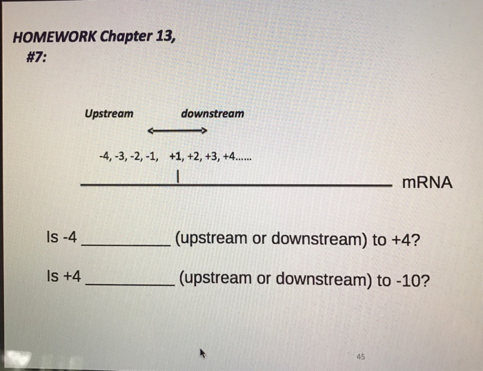 Solved Homework Chapter 13 7 Upstream Downstream Mrna Chegg Com