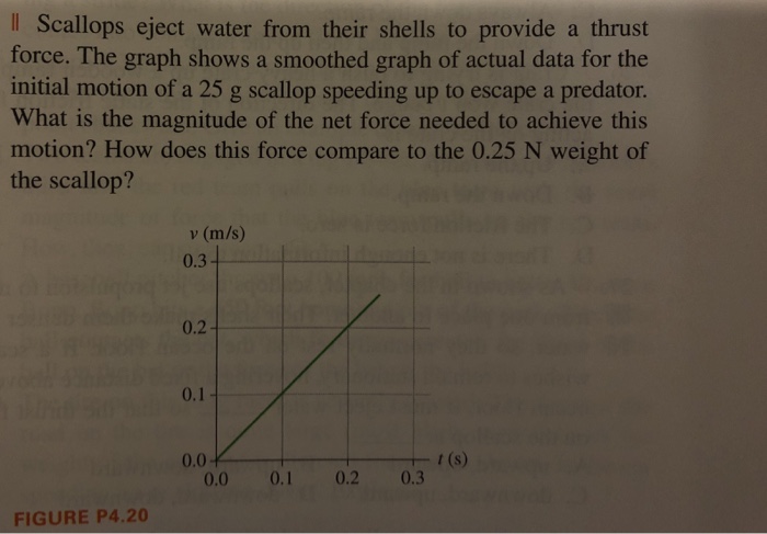 Il Scallops eject water from their shells to provide