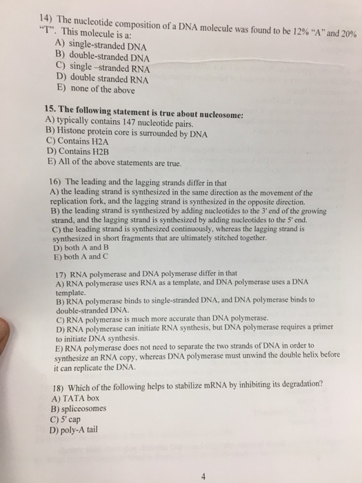 14 The Nucleotide Composition Of A Dna Molecule Was Chegg Com