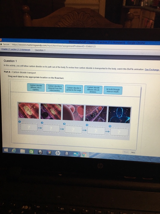 숱 Secure Https/ 93466123 Question 1 H Eis Acli