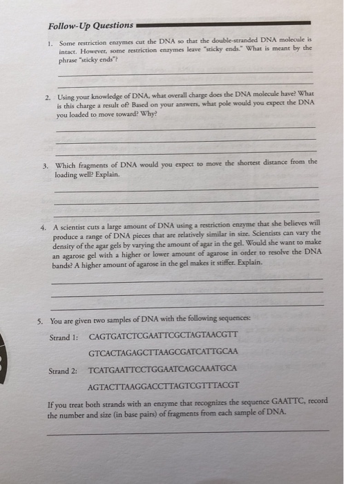 Solved: Follow-Up Questions Restriction Enzymes Cut The DN... | Chegg.com