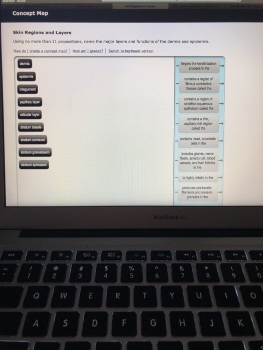 Skin Regions And Layers Concept Map Solved: Concept Map Skin Regions And Layers Using No More 