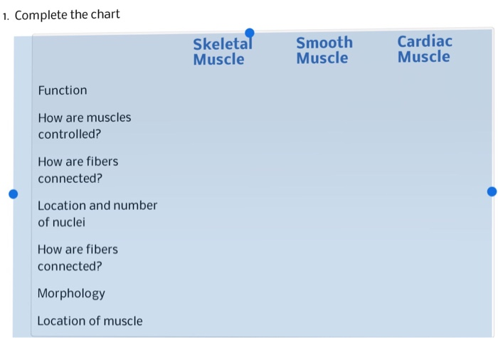 Muscle Location And Function Chart