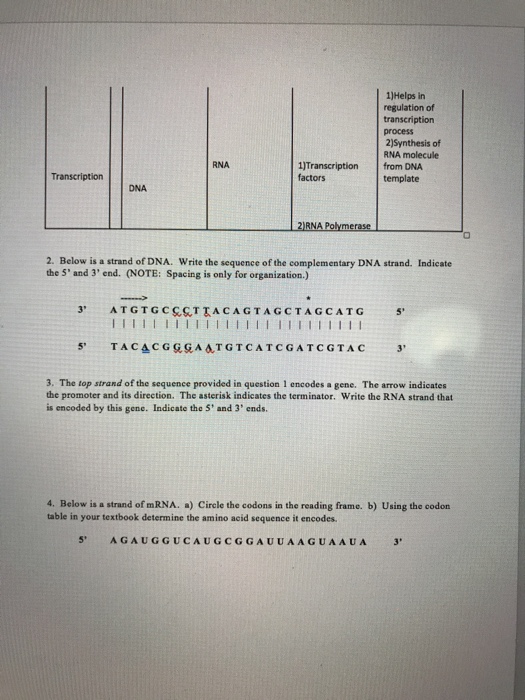 comparing dna replication and transcription worksheet answers