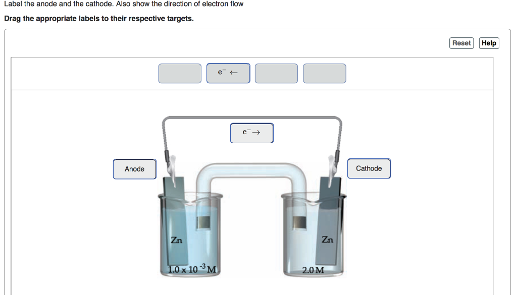 Label The Anode And The Cathode Also Show The Chegg 