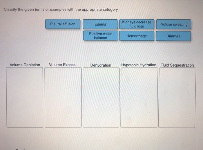 Solved Classify The Given Terms Or Examples With The Appr