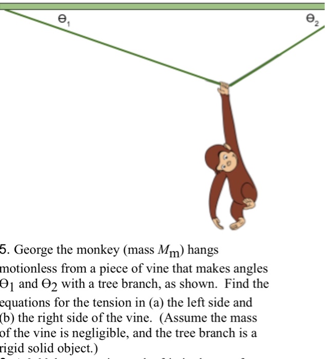 2 5 George The Monkey Mass Mm Hangs Motionless Chegg Com