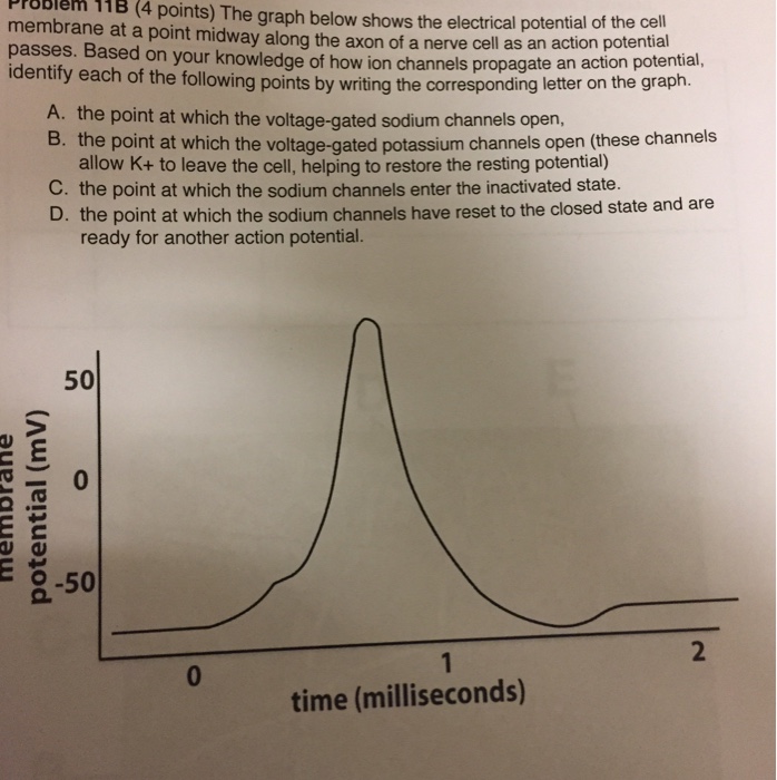 Solved PPBBIem 1HB (4 points) The graph below shows the | Chegg.com