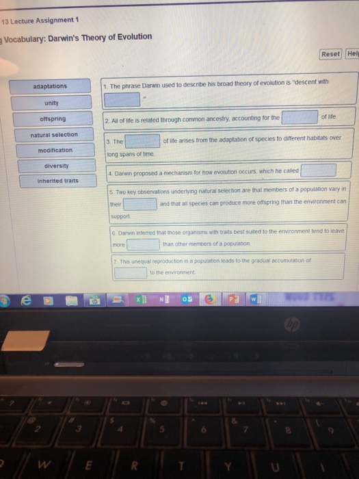 Solved 13 Lecture Assignment 1 Vocabulary Darwin S Theory Chegg Com