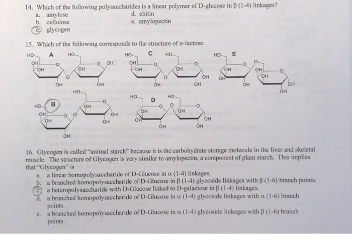 Solved 14. Which of the following polysaccharides is a 