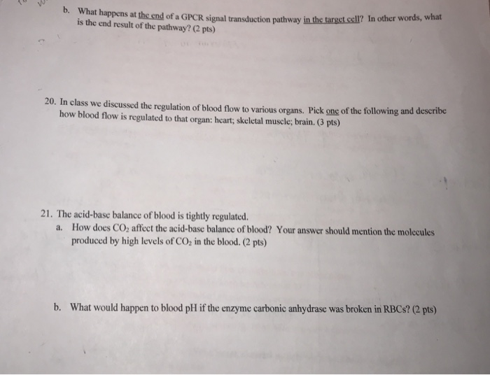 b. What happens at the end of a GPCR signal transduction pathway in ths targct sl?1 is the end result of the pathway? (2 pts) 20. In class we discussed the regulation of blood flow to various organs. Pick one of the following and describe how blood flow is regulated to that organ: heart; skeletal muscle; brain. (3 pts) 21. The acid-base balance of blood is tightly regulated. How does CO, affect the acid-base balance of blood? Your answer should mention the molecules produced by high levels of CO2 in the blood. (2 pts) a. b. What would happen to blood pH if the enzyme carbonic anhydrase was broken in RBCs? (2 pts)