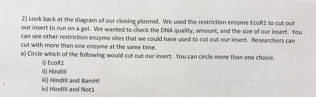 solved 2 loo our insert to run on a gel we wanted to ch chegg com