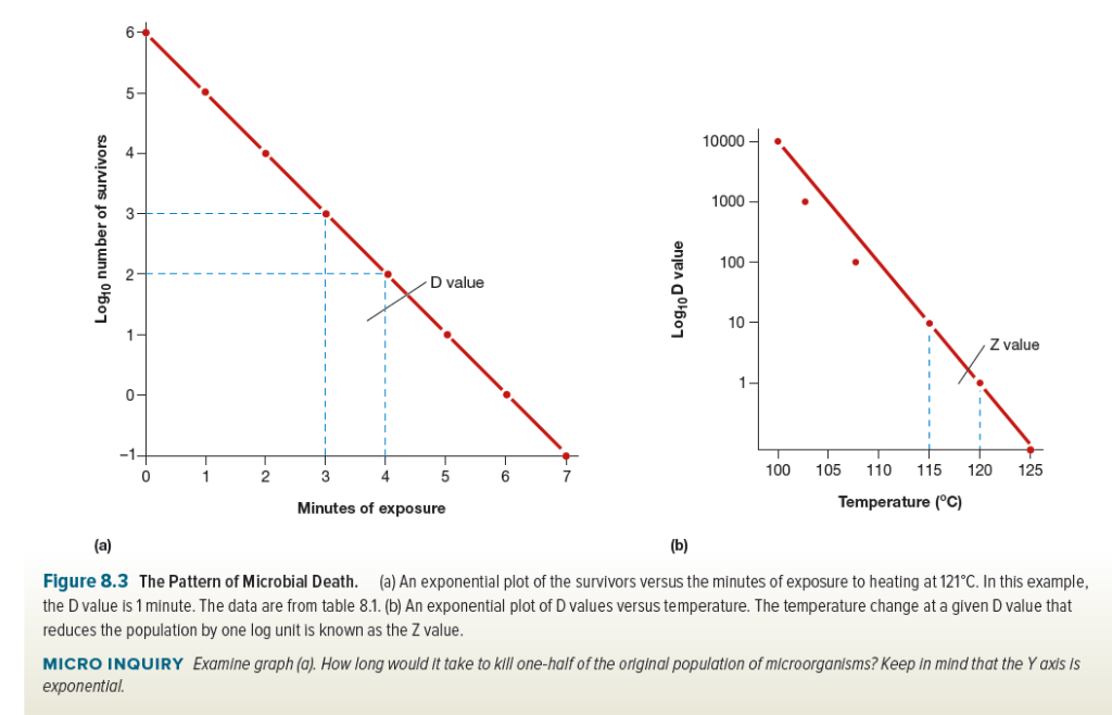 D Value And Z Value