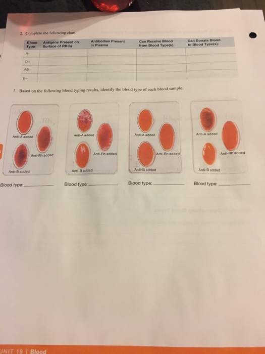 blood type chart antigens antibodies