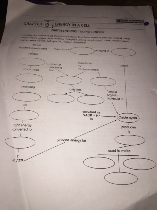 Chapter Energy In A Cell Photosynthesis Trapg Chegg 