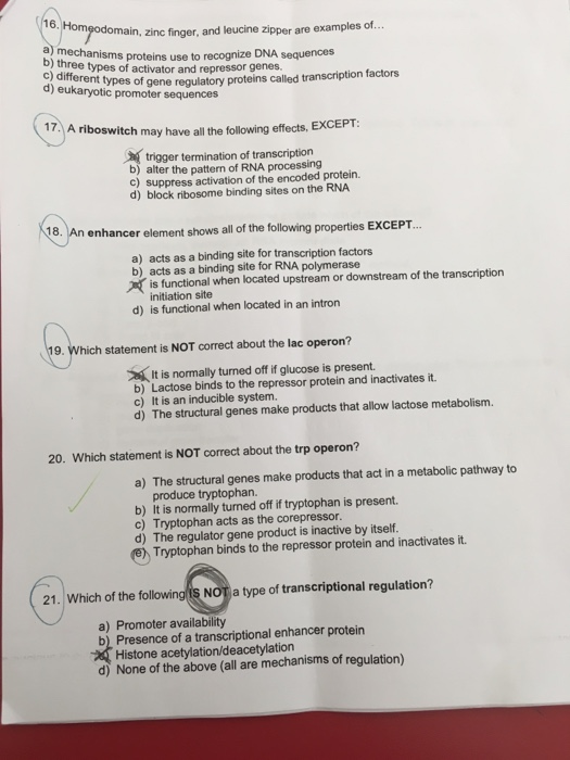 Solved 16 Main Zinc Finger And Leucine Zipper Are Examp Chegg Com