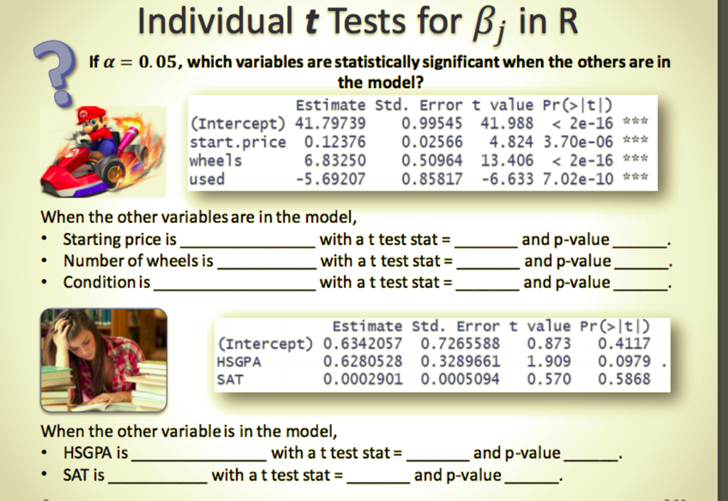 Solved Individual T Tests For Ss In R If 0 05 Which Vari Chegg Com
