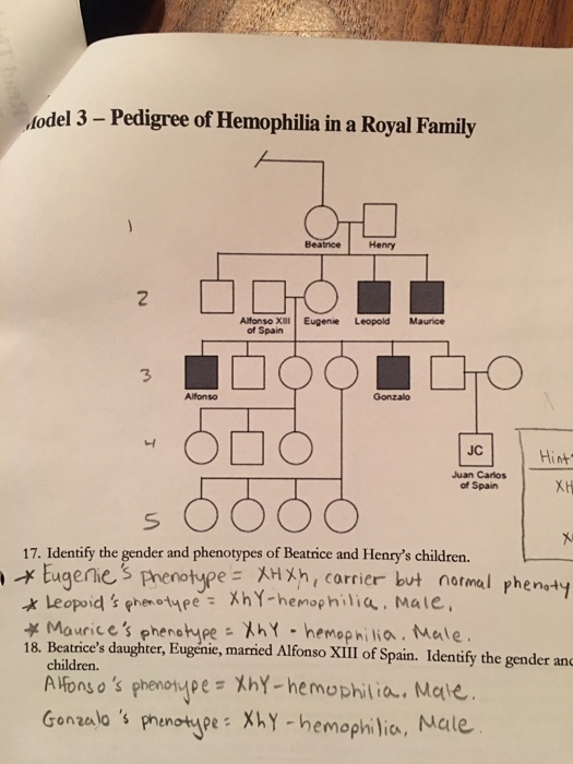 Solved Odel 3 Pedigree Of Hemophilia In A Royal Family Chegg Com