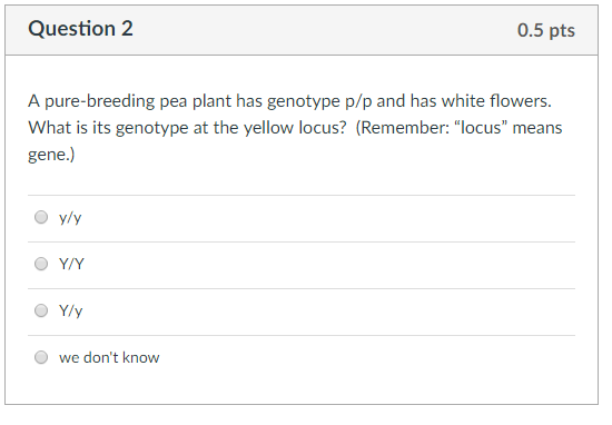 Question 2 0.5 pts A pure-breeding pea plant has genotype p/p and has white flowers. What is its genotype at the yellow locus? (Remember: locus means gene.) we dont know