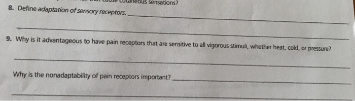 Solved Why Is It Advantageous To Have Pain Receptors That Chegg Com